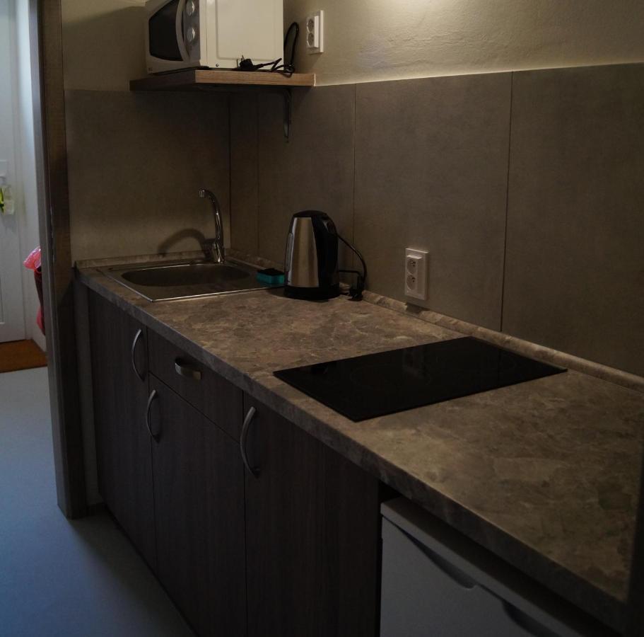 Apartment Studia Luzican *